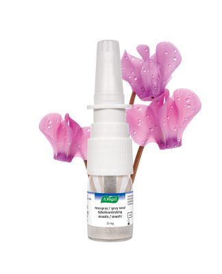 Spray nasal Sinusite